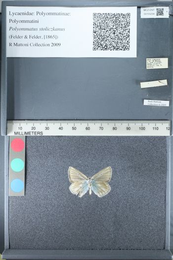 Media type: image;   Entomology 155234